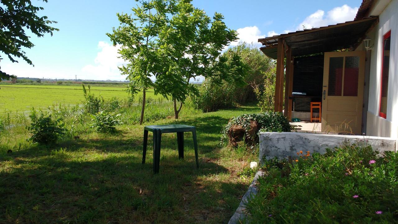 Termas Da Azenha Hotel Figueira da Azoia Bagian luar foto
